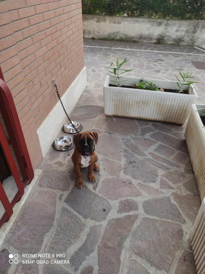 1 * Roma